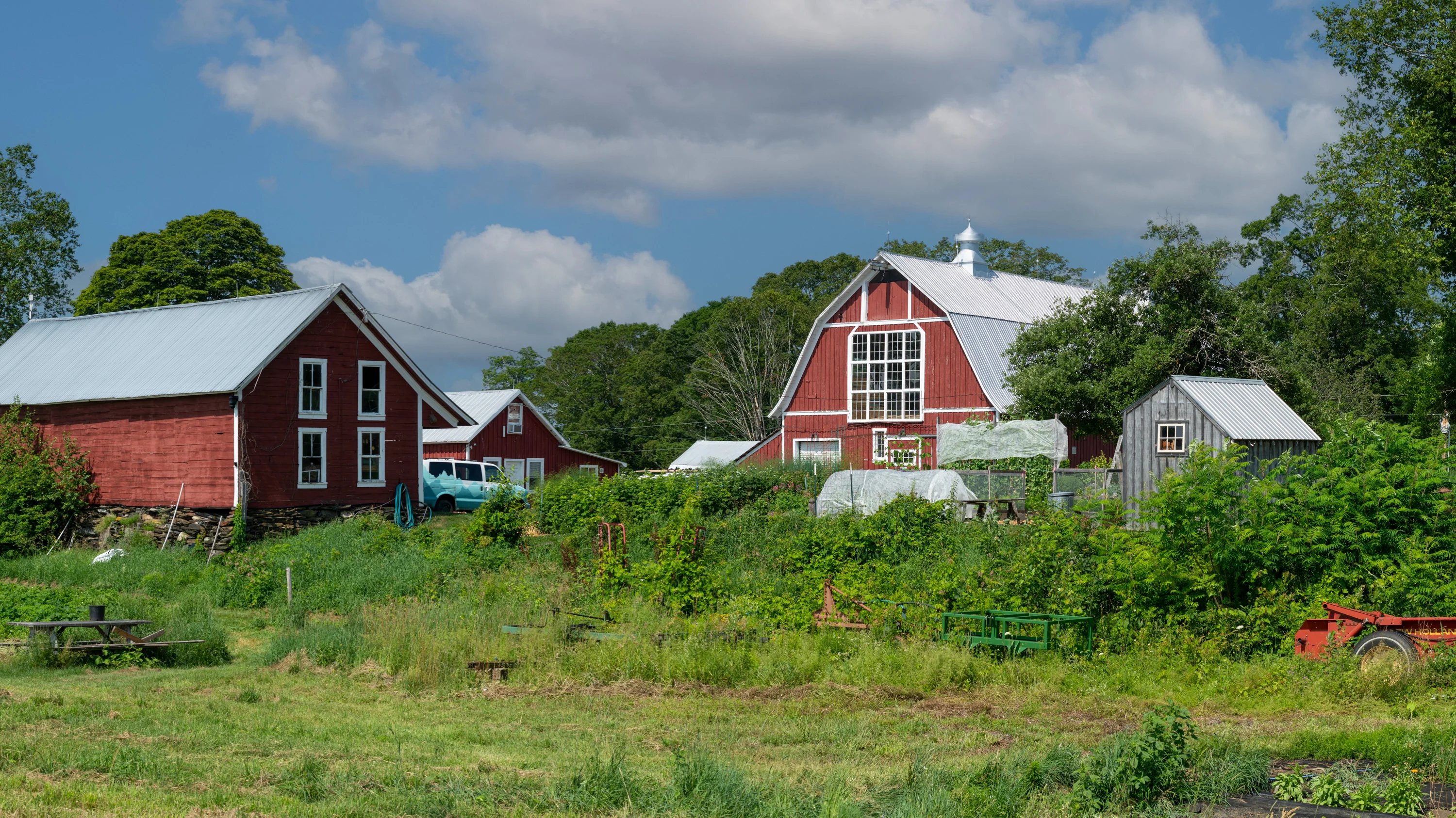 Pure Vermont Organic Botanicals